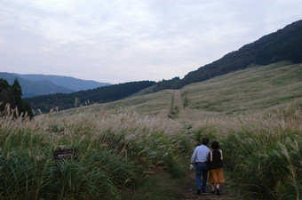 DSC_8971.jpg