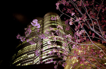 20090320classe014.jpg