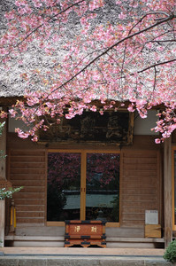 DSC_1688.jpg