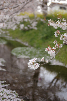 DSC_3266.jpg