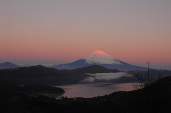 DSC_3409.jpg
