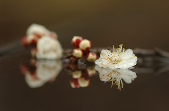 DSC_3647.jpg