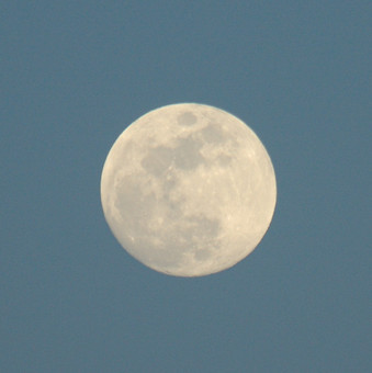 DSC_3834.jpg