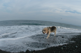 DSC_6687.jpg