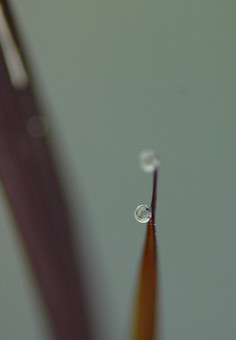 DSC_7853.jpg