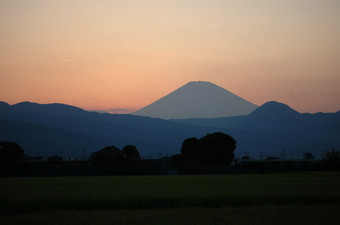 DSC_8096.jpg