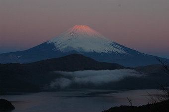 DSC_9809.jpg